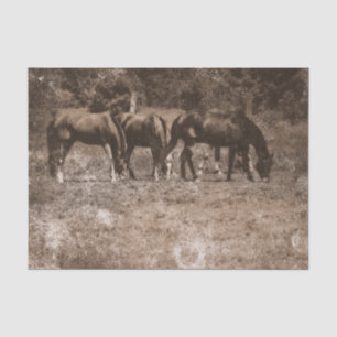 Horse Farm Vintage Country Rustic Sepia Western Tissue Paper