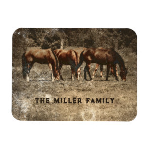 Horse Farm Vintage Country Rustic Western Magnet