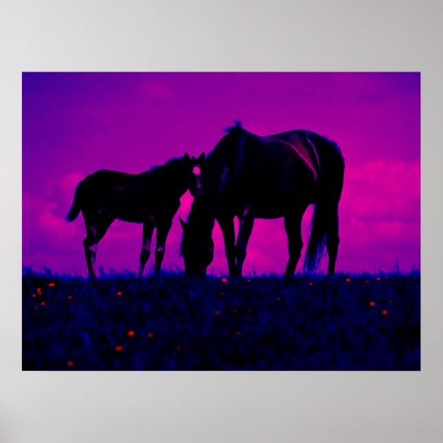 Horse & Filly Art Print (Front)