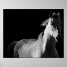 horse,  fine art photography poster