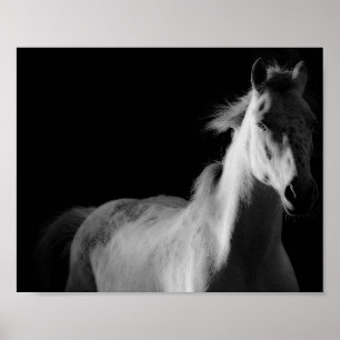 horse,  fine art photography poster