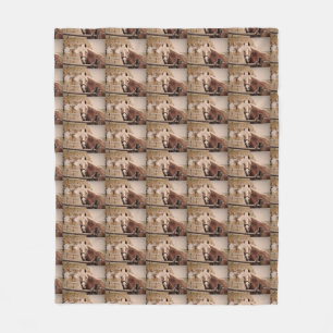 HORSE FLEECE BLANKET.
