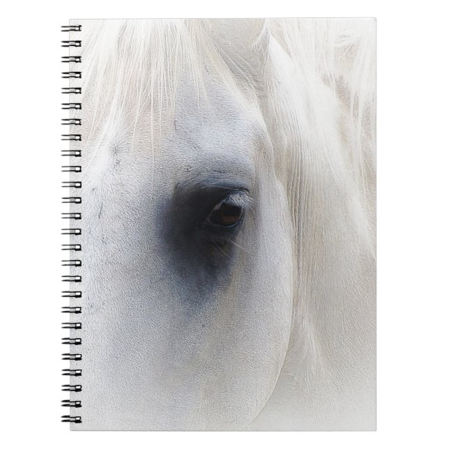 Horse & Floral Notebook (Front)
