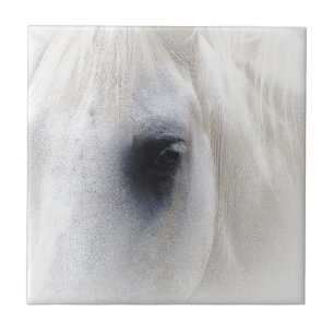 Horse & Floral Tile