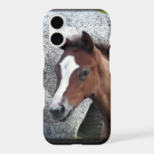 Horse Foal Art iPhone 7 Case