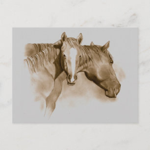 HORSE, FOAL: SEPIA: PENCIL ART POSTCARD