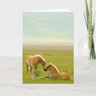 Horse Foals Card