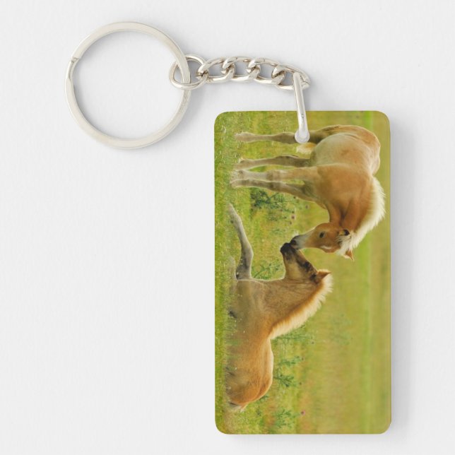 Horse Foals Keychain (Front)