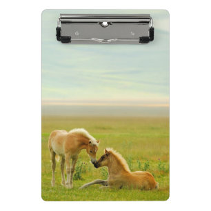 Horse Foals Mini Clipboard
