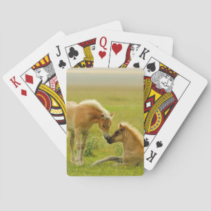Horse Foals Playing Cards