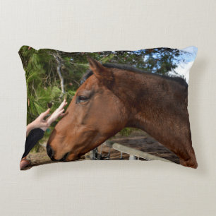 Horse Friend Forever,  Accent Pillow