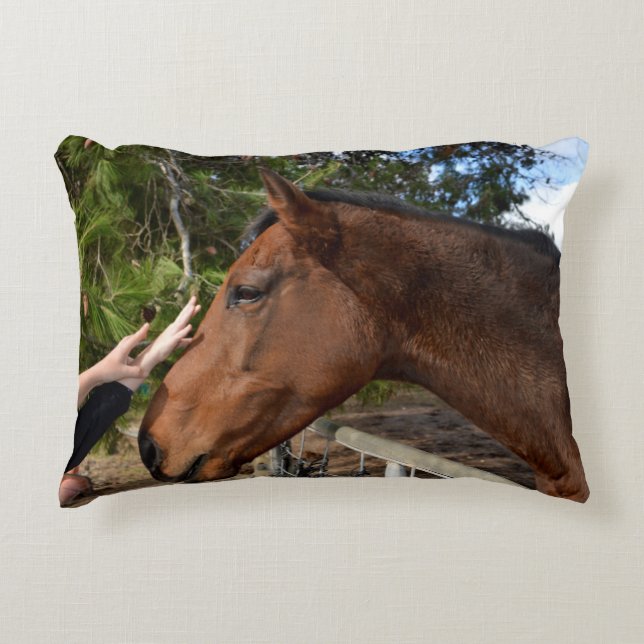 Horse Friend Forever,  Accent Pillow (Front)