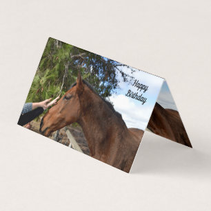 Horse Friend Forever, Carte Anniversaire