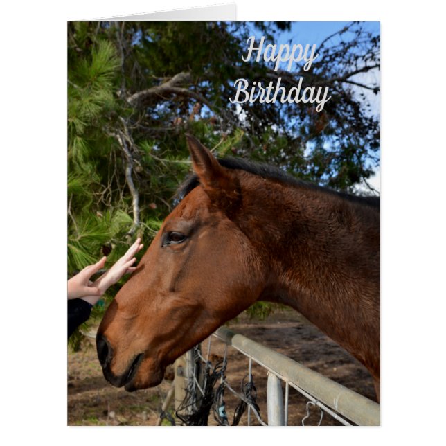 Horse Friends Forever, Large Birthday Card (Front)