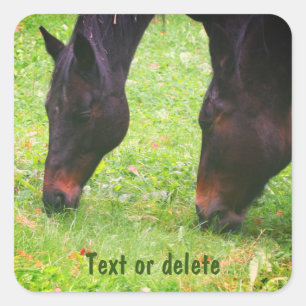 Horse Friends Grazing Personalized Square Sticker