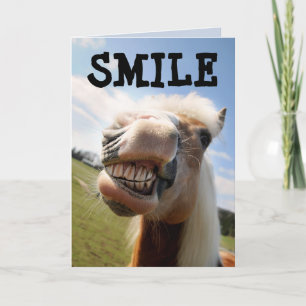 HORSE FUNNY SMILE BIRTHDAY GREETING CARD