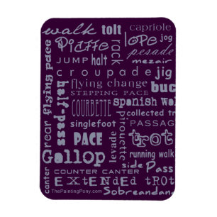 Horse Gaits Magnet