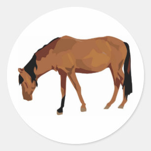 Horse Grazing Classic Round Sticker