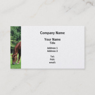 Horse Grazing in Pasture - Platinum Finish Business Card