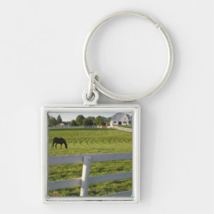 Horse grazing on farm keychain