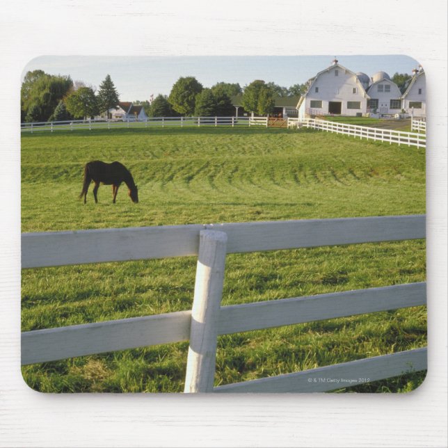 Horse grazing on farm mouse pad (Front)