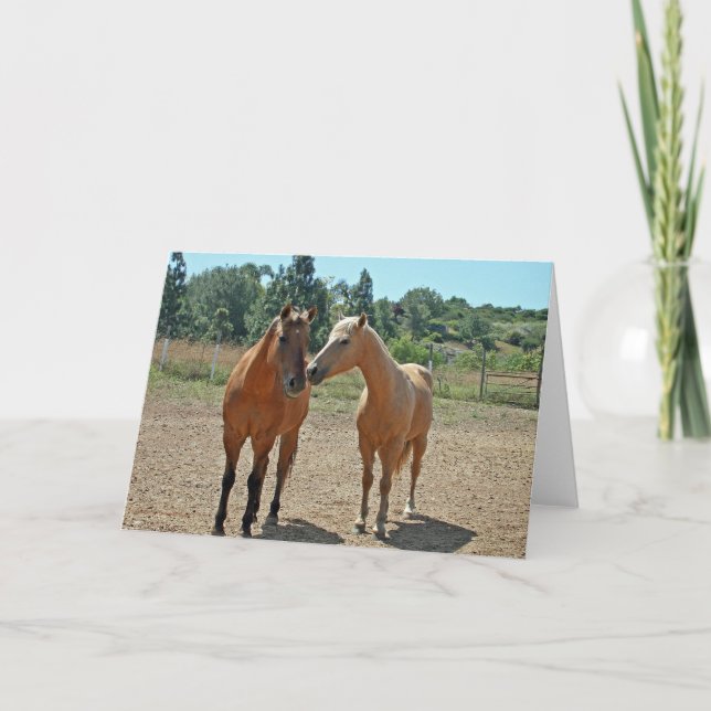Horse Greeting Card (Front)