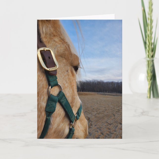 Horse greeting card (Front)
