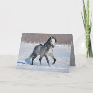 Horse Greeting Card - Dappled Grey Snow Stallion