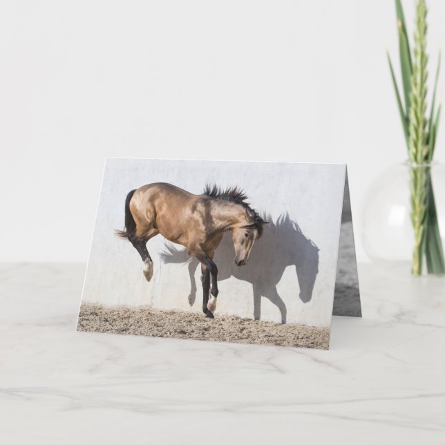 Horse Greeting Card - Touching Down (Front)
