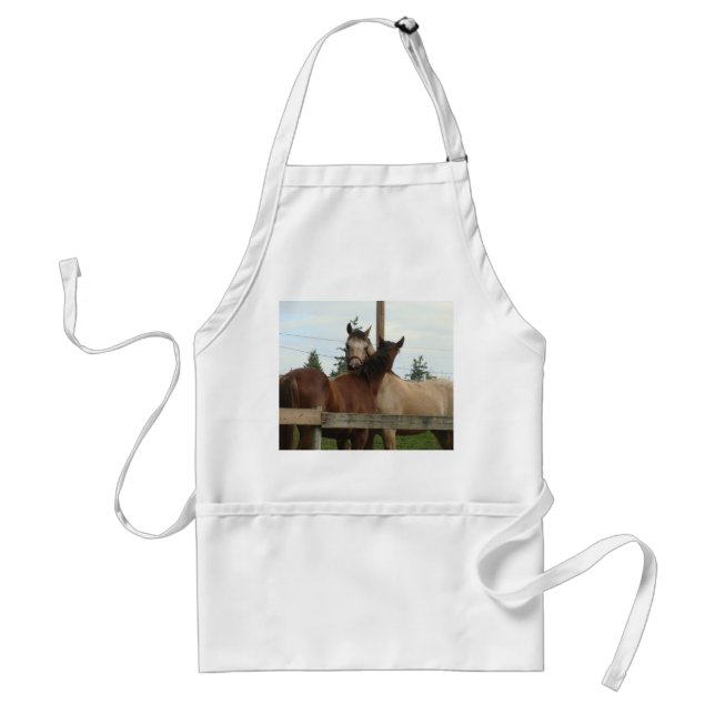 Horse Grooming Standard Apron (Front)