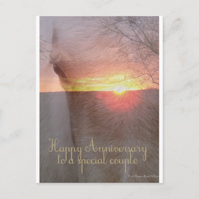 Horse Happy Anniversary Postcard (Front)