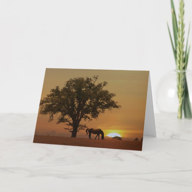 Horse Happy Birthday Beautiful Day with Oak Tree Card (Front)