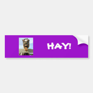 horse, HAY! Bumper Sticker