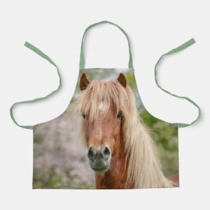 Horse Head Aegidienberger cross Icelandic and Paso Apron