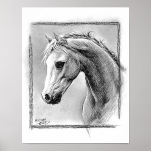 Horse head charcoal art Poster print