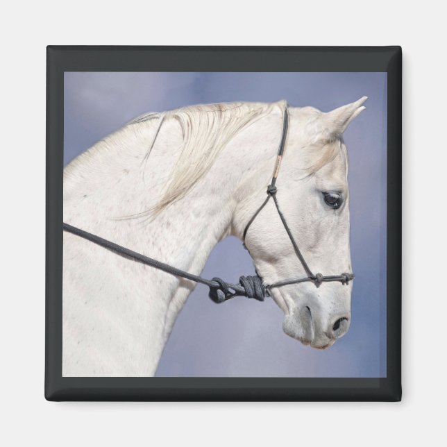 Horse Head Magnet (Front)