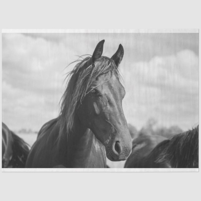 horse head tissue paper (Front)