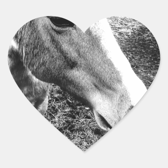 Horse Heart Sticker (Front)