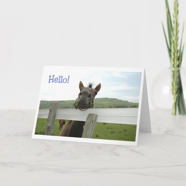 horse hello card (Front)
