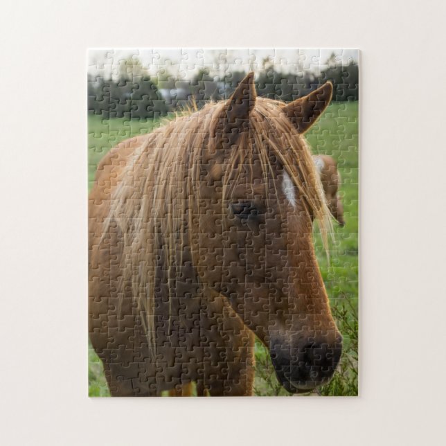 Horse Hello Jigsaw Puzzle (Vertical)