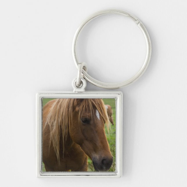 Horse Hello Keychain (Front)