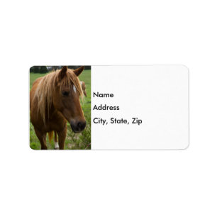Horse Hello Label
