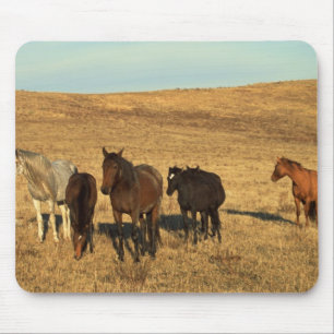 Horse Herd in the West Mouse Pad