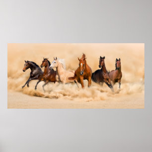 Horse herd run in desert sand storm poster