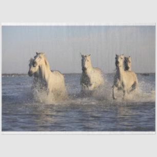 horse herd tissue paper