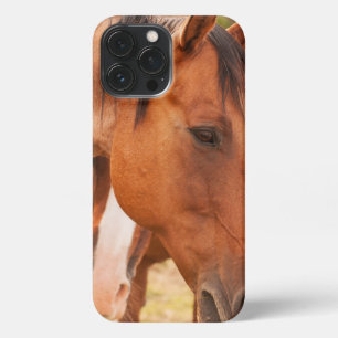 Horse Hiding Behind Horse iPhone 13 Pro Max Case
