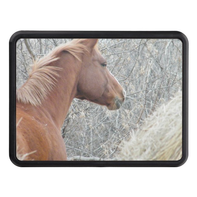 Horse Hitch Trailer Hitch Cover (Front)