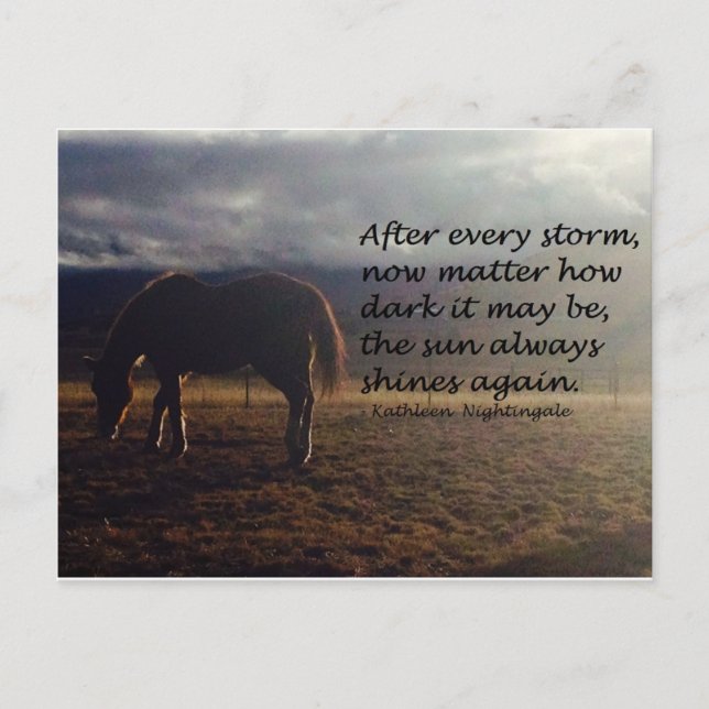 Horse Hope Postcard (Front)
