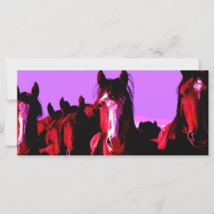 Horse - Horses
