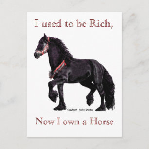 Horse Humour Postcards